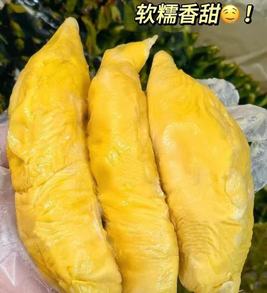 【液氮保鲜】马来西亚猫山王冷冻原粒带壳榴莲D197|进口水果 商品图1