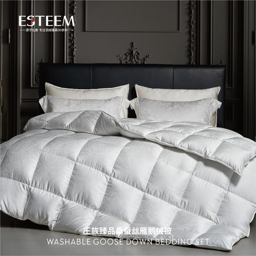 王族臻品桑蚕丝雁鹅绒被系列 商品图1