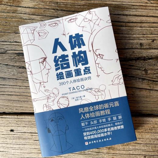 人体结构绘画重点 商品图1