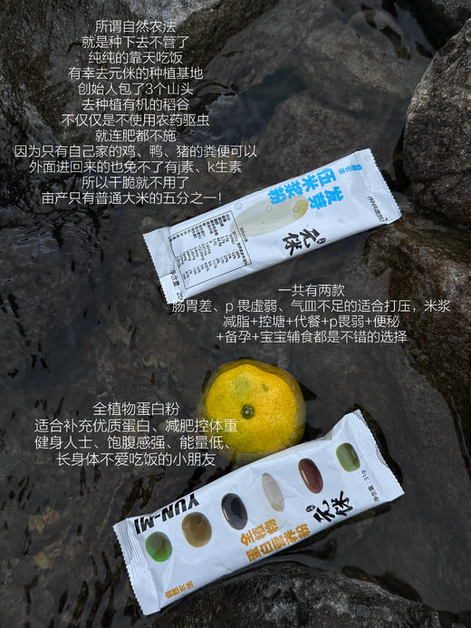 自然农法种植！元侎五谷膳食SGS有机认证胚芽种皮 商品图0