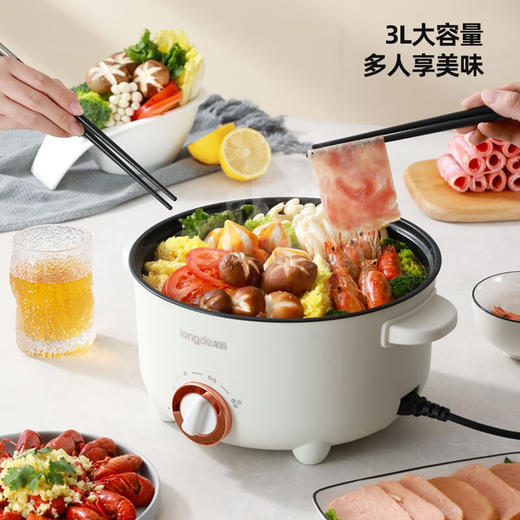 龙的多功能电火锅LD-HG313G 商品图3