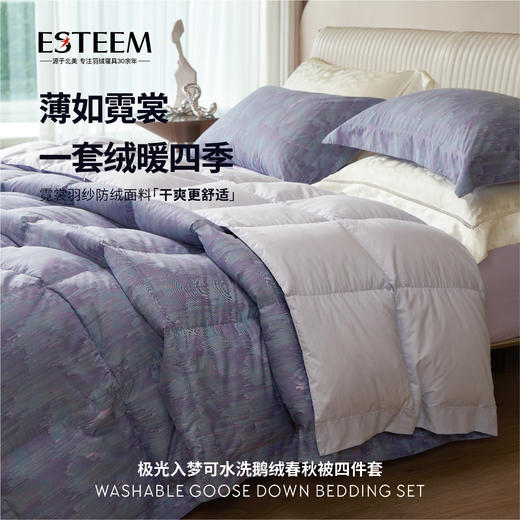 极光入梦春秋被四件套 商品图1