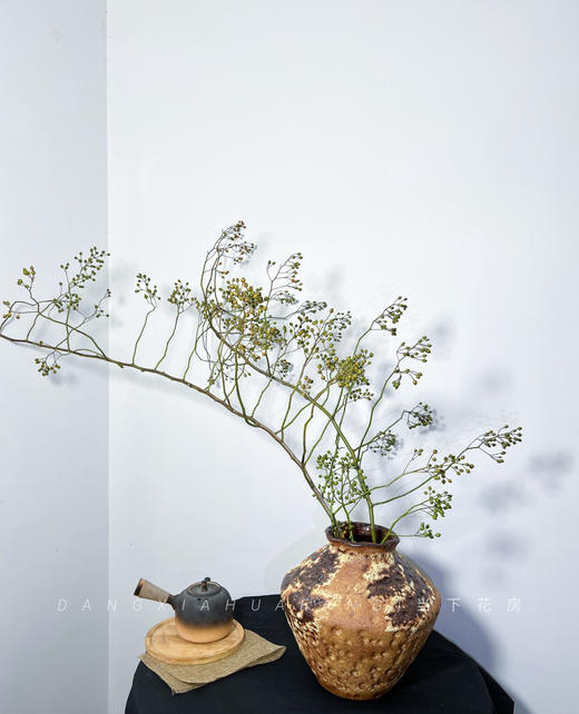 【AB级绿色山归来】1扎约3-5支/份 长约100-120cm（单独发货） 商品图11