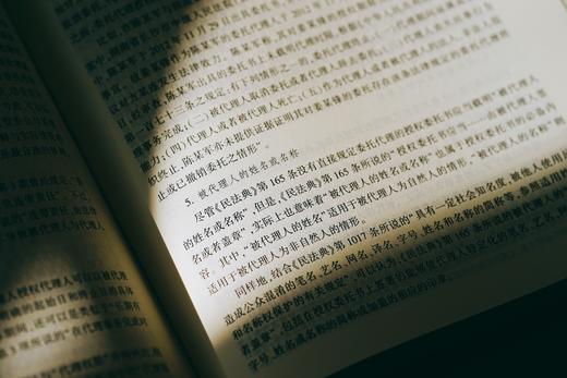 《民法典总则编通释》（逐条细致注解民法典总则编，穷尽条文中“最小单元及其组合”的含义与法律适用）丨非签名本 商品图3