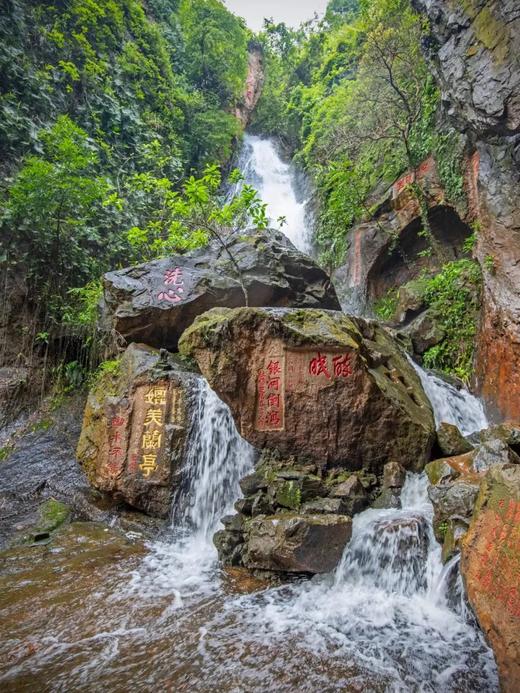 户外@【秋摄西樵】西樵山探索奇崖怪壁+三水白坭七彩花海1天 商品图3