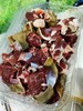 黑山羊肉 ，1份3斤 商品缩略图1