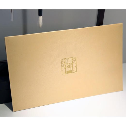 羽诗制造出品 蔡超衍生四季款百搭真丝桑蚕丝飘带巾礼盒套装 商品图7