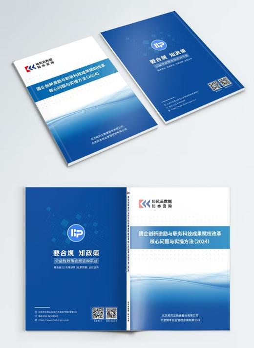 研究报告《国企创新激励与职务科技成果赋权改革核心问题与实操方法（2024）》 商品图4