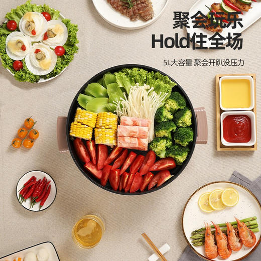 龙的电煎锅LD-HG513C 商品图4