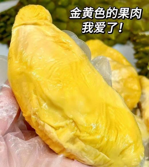 【液氮保鲜】马来西亚猫山王冷冻原粒带壳榴莲D197|进口水果 商品图2