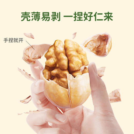 【新疆】薄皮核桃500g 商品图0