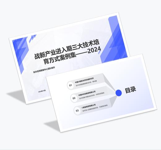 案例研习 | 战新产业进入期三大技术培育方式案例集-2024 商品图0