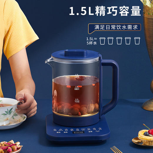 家用电器-养生壶家用多功能自动断电煮茶器 商品图1