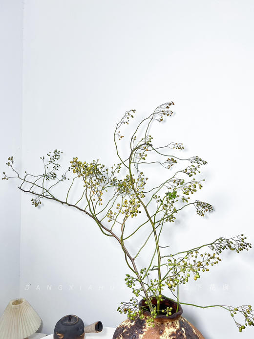 【AB级绿色山归来】1扎约3-5支/份 长约100-120cm（单独发货） 商品图8