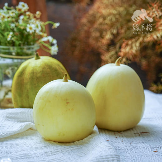 生态甜瓜（福建）| 合作生产*eco-melon | Partner Production 商品图3