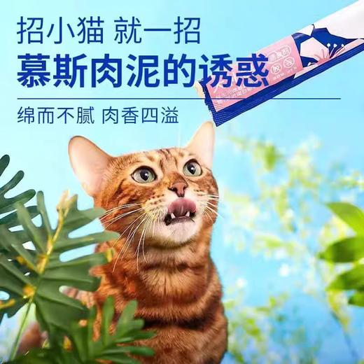 蓝氏 猫条 功能猫条 12g*5支*1袋 商品图2