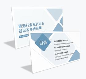 案例研习 | 能源行业双百企业综合改革典范集-2024