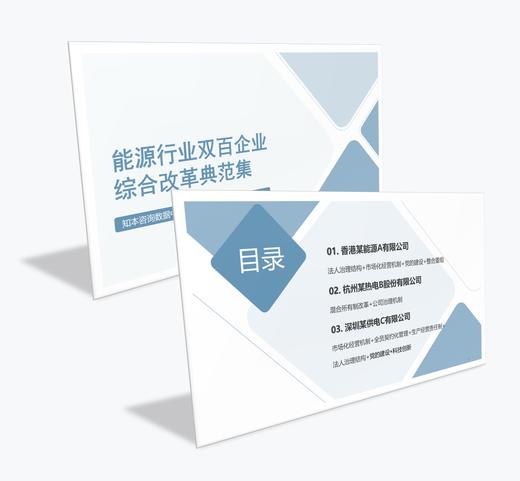 案例研习 | 能源行业双百企业综合改革典范集-2024 商品图0