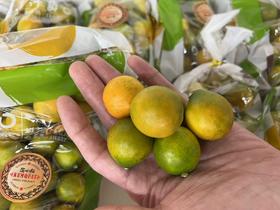 周日取货：【袋装匠心级脆皮金桔】一袋480克左右，浓浓酸香，满满的维C，满满的维A！