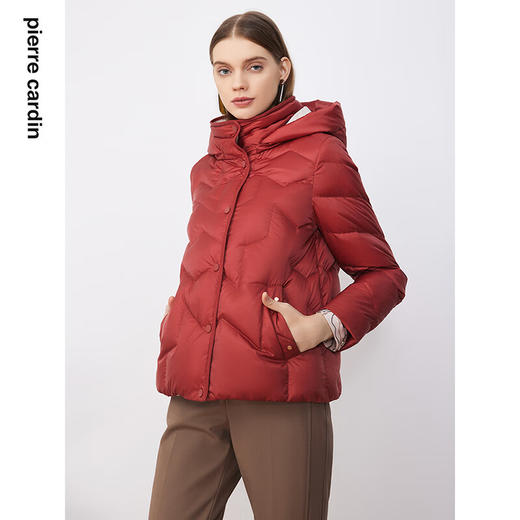 皮尔卡丹女装羽绒服简约保暖连帽通勤白鸭绒短款P3493Y3405O2 商品图1