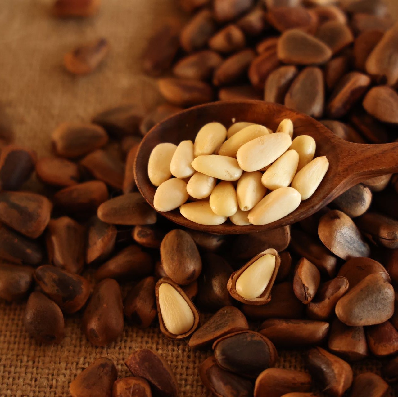 【一周发一次】【野生红松松子】自然的馈赠，健康的美味 纯天然生长 纯人工采摘远离农药化肥的污染，每一颗松子都是大自然的杰作 精选特大颗粒的松子，每斤仅有 850 颗大果