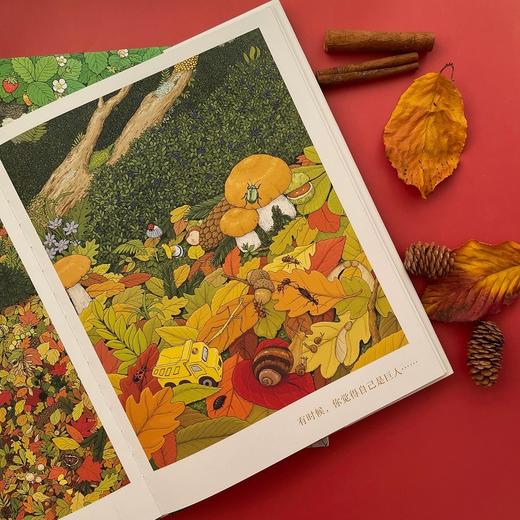 有你的日子 双视角诗画精装绘本  敬平凡日子的欢欣、失落和感动  浪花朵朵童书 商品图4