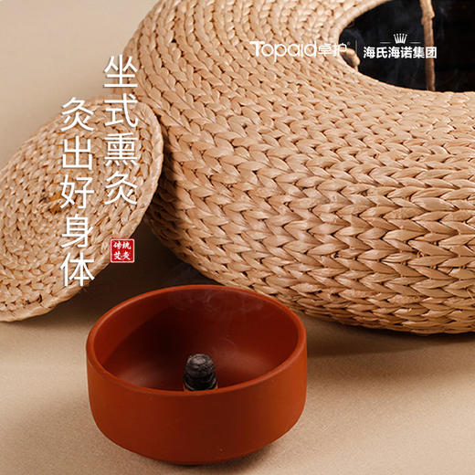 自营（卓护）-海氏海诺蒲团艾灸仪坐垫家用熏蒸艾条1套/盒 商品图3