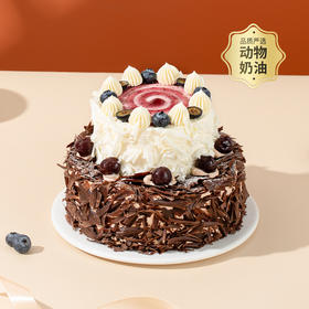 【莓果黑森林】6+4英寸双层樱桃下午茶，黑巧的浓郁遇上莓果的清新，演绎经典与自然的绝妙风味（上海幸福西饼）