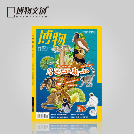 博物杂志预售 2024年11月刊  马达加斯加 精美大拉页 博物大学 青少年科普杂志 商品图0