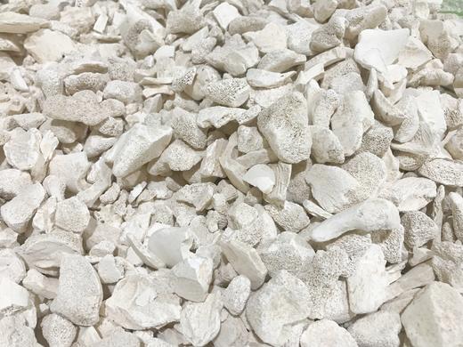 粗颗粒生龙骨500克 1kg 商品图2