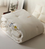 老米优品🎈 【A类母婴ji  水洗原棉99大豆被】0荧光0甲醛0芳香胺，日式纯棉99%大豆纤维被芯 冬被 商品缩略图1