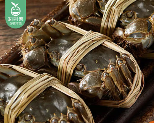 【叼蟹】江苏大闸蟹-母蟹（6只/箱 单只150g±10g） 商品图4