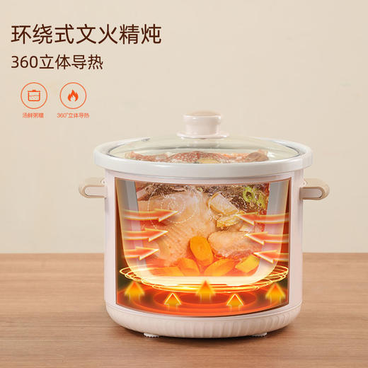 龙的多功能电炖锅LD-DG3235 商品图3