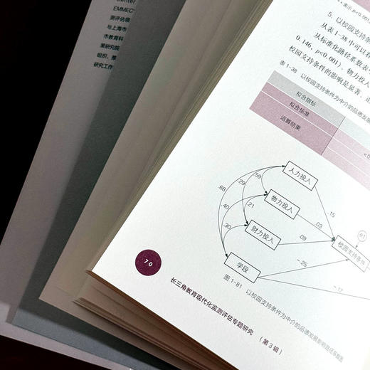 长三角教育现代化监测评估专题研究 第3辑 长三角教育现代化监测评估研究丛书 商品图11