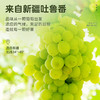 【新疆】香妃王葡萄干260g 商品缩略图1