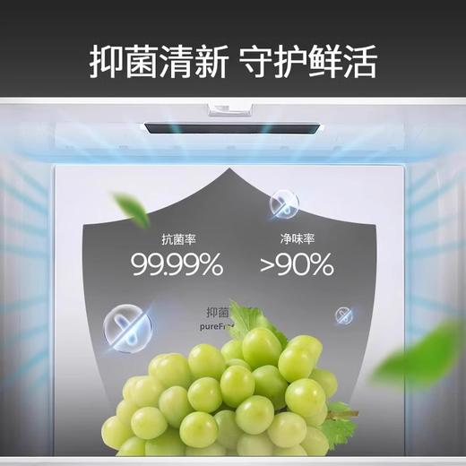 【国补15%】西门子平嵌 501L大容量法式多门 家用变频电冰箱 超薄平嵌 双系统双循环 抑菌清新 变温储鲜 KF88E1220C 商品图2