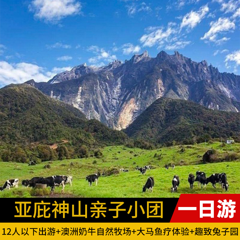 海洋 神山探索一日游