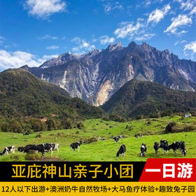 海洋 神山探索一日游