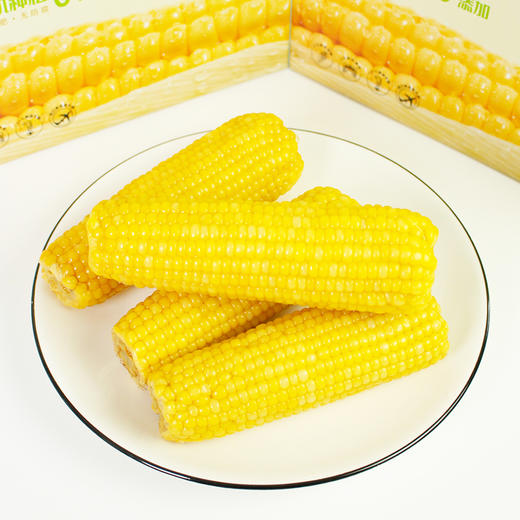 农场鲜食甜糯玉米东北真空速食玉米轻食代餐美味营养 商品图1