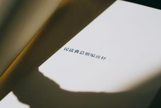 《民法典总则编通释》（逐条细致注解民法典总则编，穷尽条文中“最小单元及其组合”的含义与法律适用）丨非签名本 商品图8