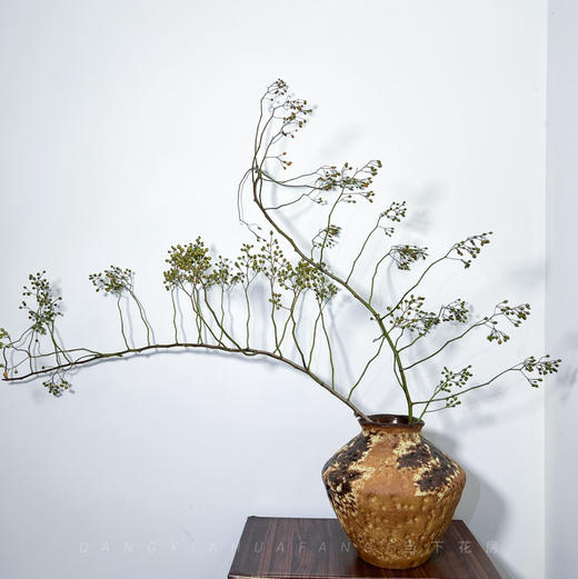 【AB级绿色山归来】1扎约3-5支/份 长约100-120cm（单独发货） 商品图0