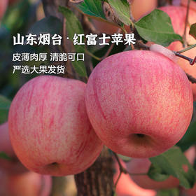 枝悦 烟台红富士苹果5斤/9斤 脆甜爆汁 严选大果 72小时发货（果蔬生鲜签收24小时内保留完整包装面单可售后，超时不予理赔，拍下默认接受）