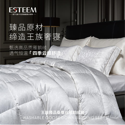 王族臻品桑蚕丝雁鹅绒被系列 商品图0
