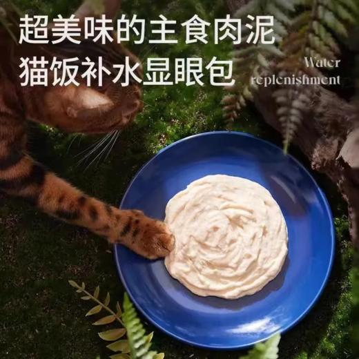蓝氏 猫用主食餐包 乳鸽口味 50g/袋 商品图1