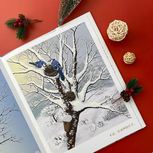 有你的日子 双视角诗画精装绘本  敬平凡日子的欢欣、失落和感动  浪花朵朵童书 商品图7