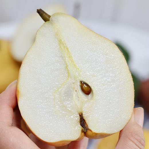 吃软不吃硬”的中华丑梨  丑得出奇，甜得惊艳 果肉细密软糯，一款适合老人孩子吃的梨 商品图1