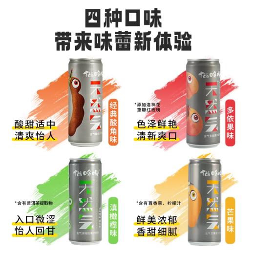 猫哆哩天然气 【清凉】特色水果果汁多口味绿色食品汽水果汁饮料 商品图2