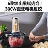【小家电】膳魔师家用和面绞肉机一体佐料机2024新款全自动多功能碎菜料理机 HF 商品缩略图4