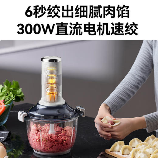 【小家电】膳魔师家用和面绞肉机一体佐料机2024新款全自动多功能碎菜料理机 HF 商品图4