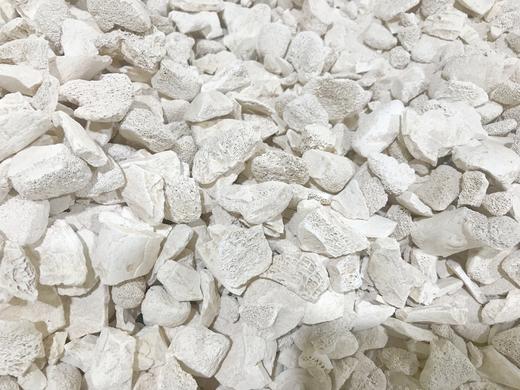 粗颗粒生龙骨500克 1kg 商品图1